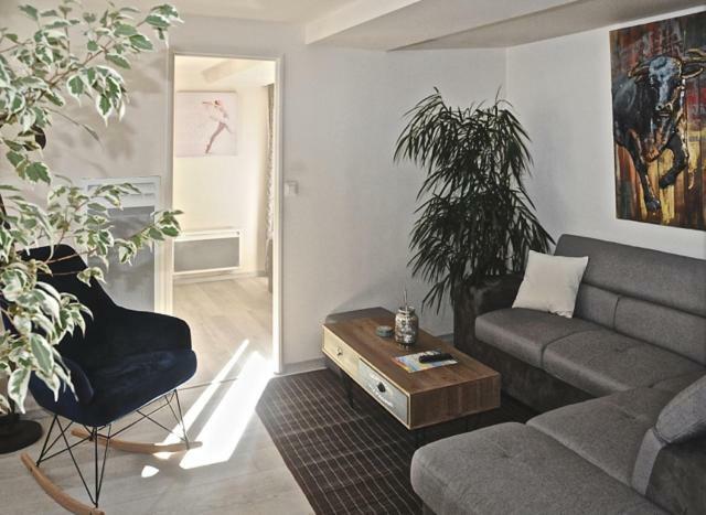 Gite, Location Meuble De Tourisme 3 Etoiles Chatillon-Coligny Exterior photo